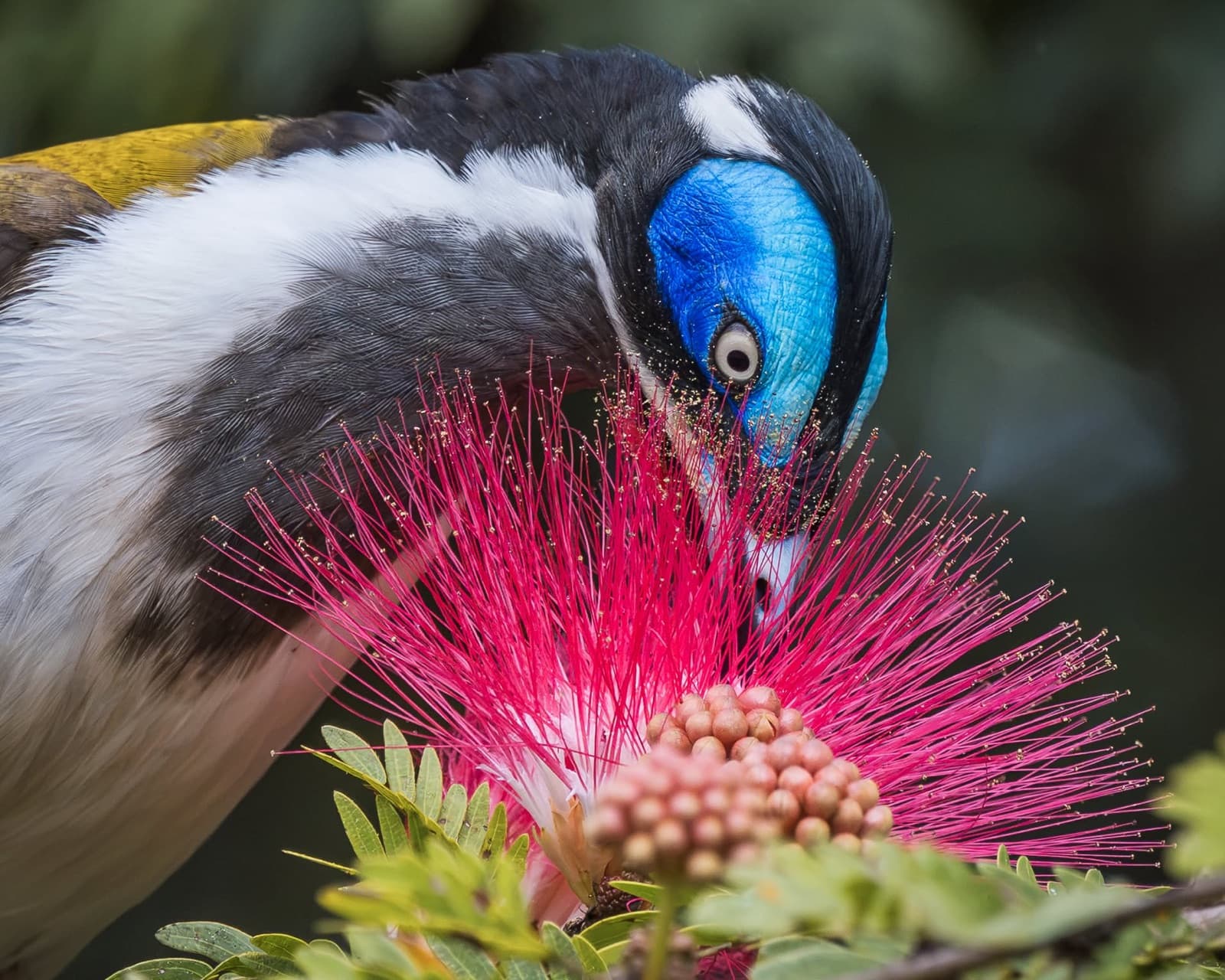 Birding Blitz: a day of photography and birding