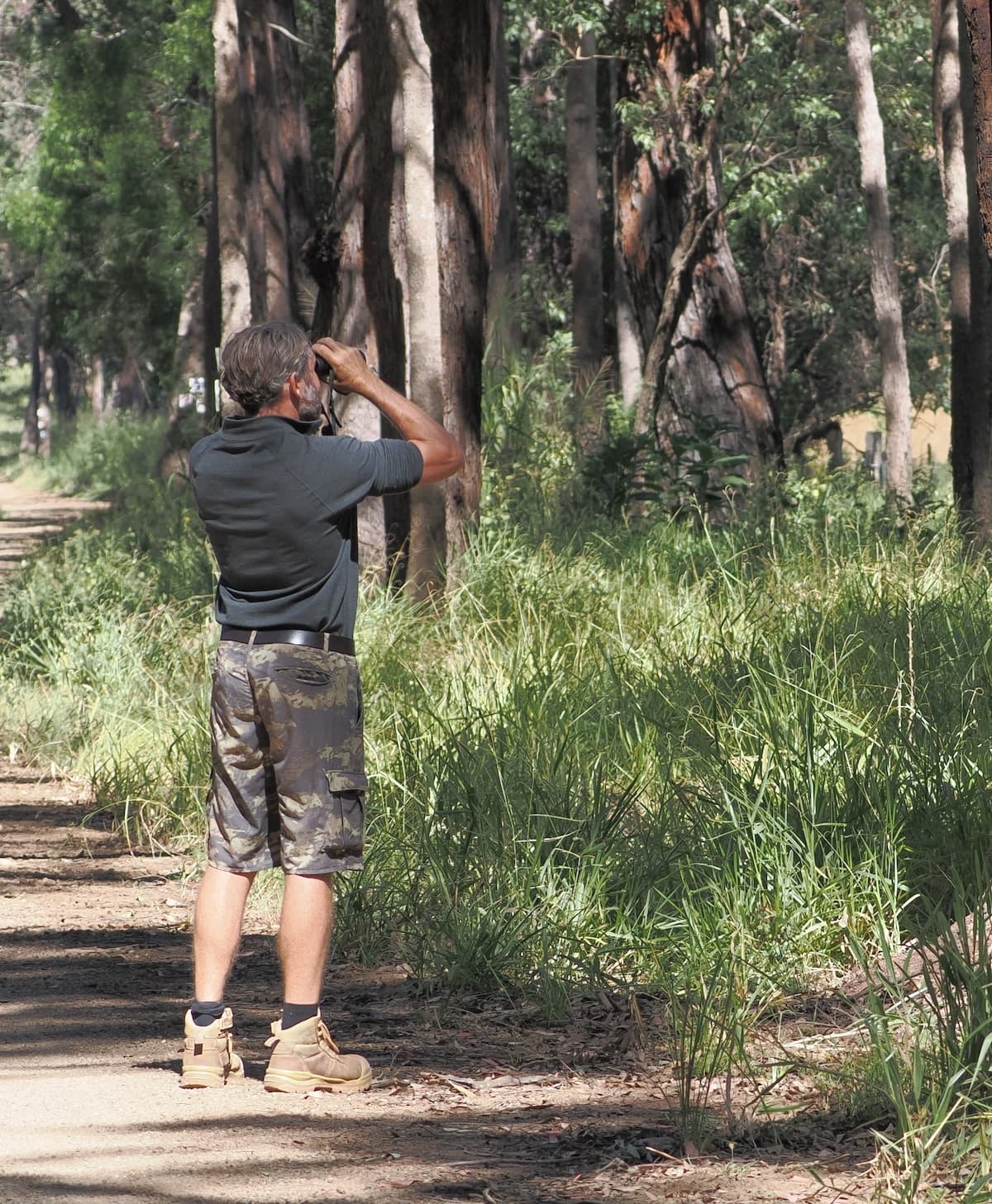 Atherton Tablelands